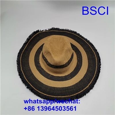 Apa itu topi pelindung matahari